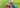 BooYaa Golf expands into Europe with German online store launch