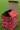 BooYaa Christmas Cube Box (Red & White)